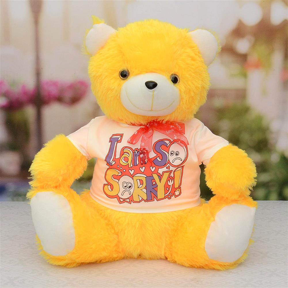 I Am So Sorry Yellow Teddy Valentine Hamper Her